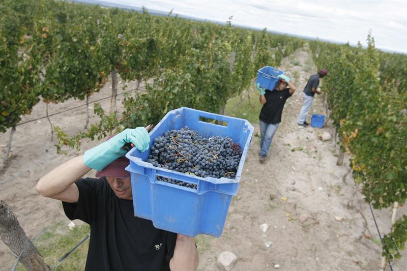  Le gouvernement argentin cesse d'augmenter la taxe sur les vins et les vins mousseux