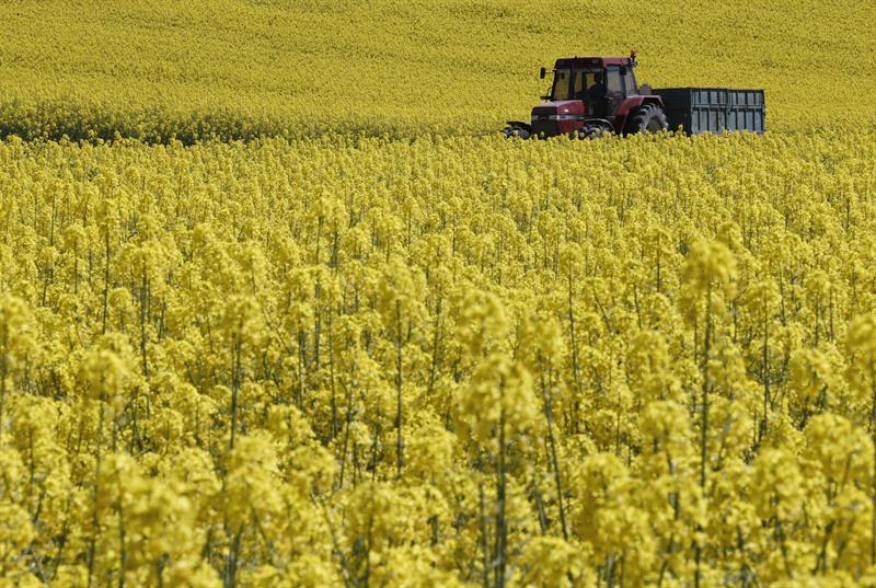  L'Espagne, le quatriÃ¨me pays qui a le plus contribuÃ© Ã  la production agricole de l'UE en 2016